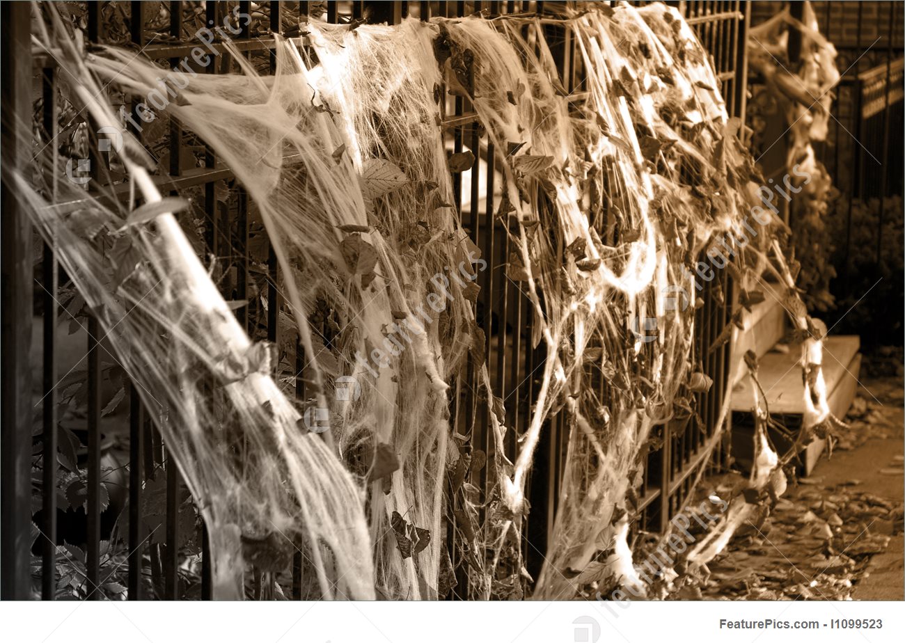 Spider Web - Halloween house decoration
