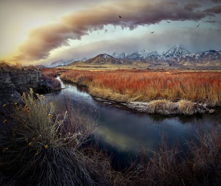 Owens River at Sunrise