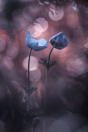 Why does my heart feel so bad