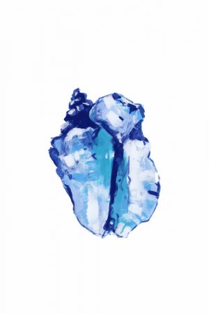 Blue Seashell On White Background No 1