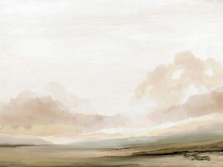 The South