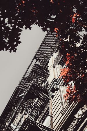 New York City Autumn