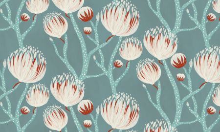 Dreamy Protea Blooms