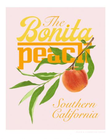 Pandcbonitapeach Copy