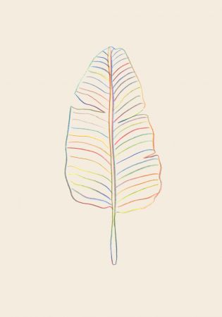 Banana Rainbow Leaf