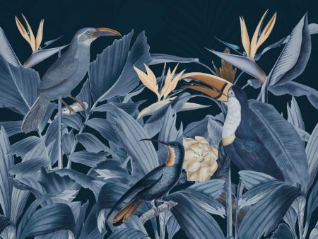 Rainforest Birds Blue