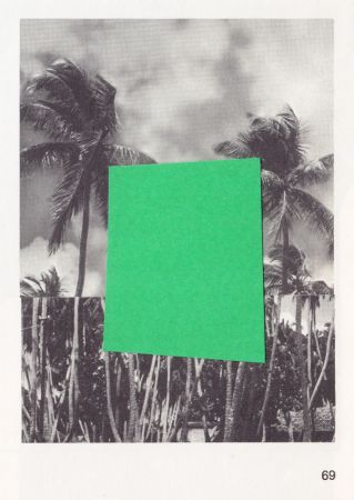 Page 69 / Palm Trees