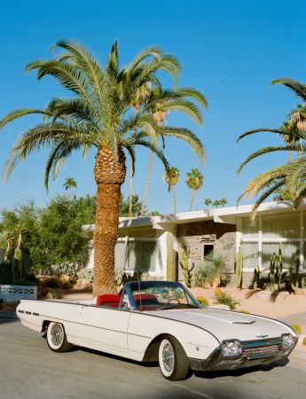 Palm Springs Thunderbird