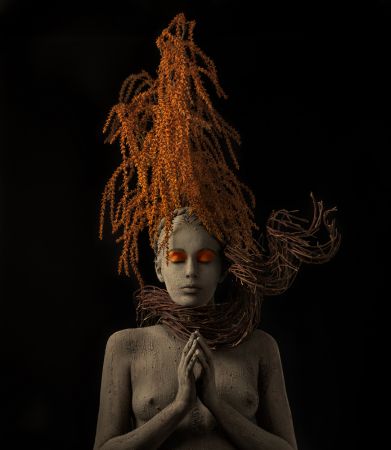 Roots & Plants praying for rain...!!!!!!