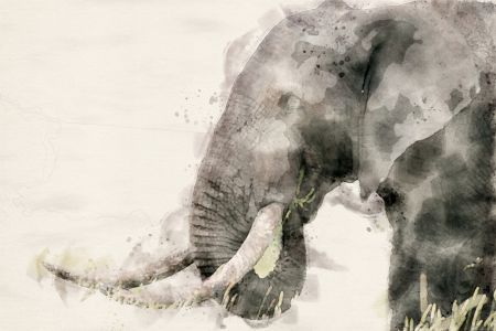 Abstract African Elephant Watercolor Art