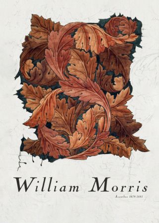 Acanthus