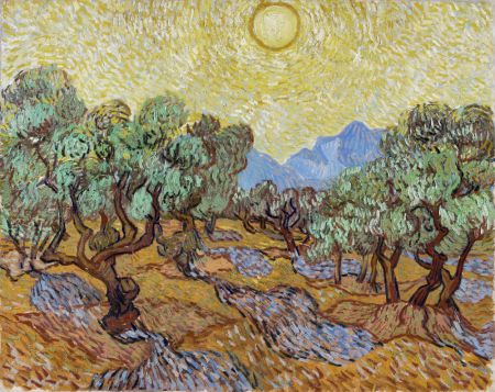 Vincent Van Gogh's Olive Trees (1889)