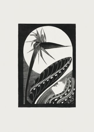 Strelitzia Overblown