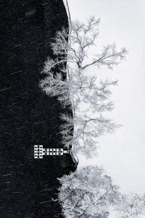 Lake Shore under Snow Storm