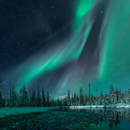 Music of the Heavenly Organ