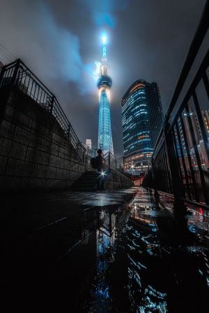 Aftre rain Skytree
