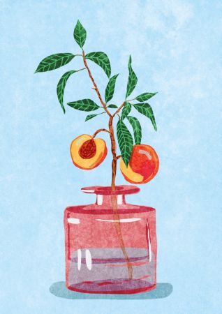 Peach Tree in Vase