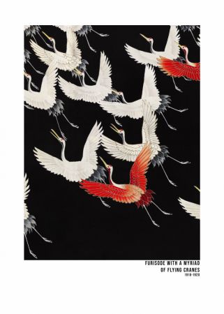 Furisode With a Myriad of Flying Cranes (1910–1920)   Japanese