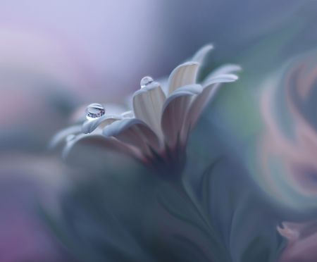 Behind Closed Eyes...