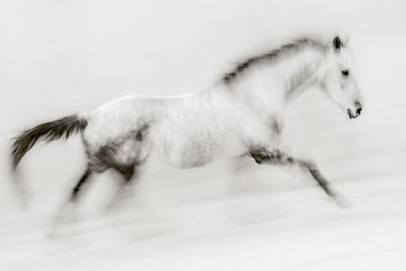 The unique brush stroke