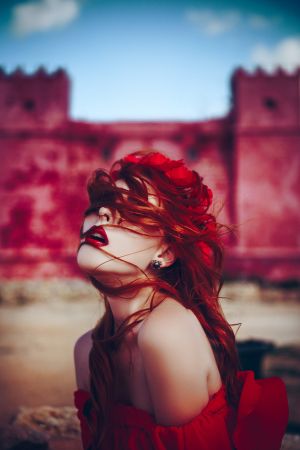 The Queen of Red Castle