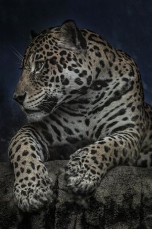 A moment after dinner