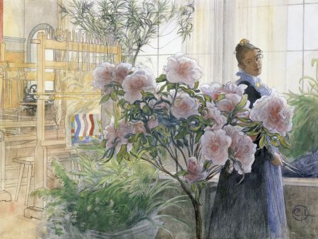 Azalea (1906)