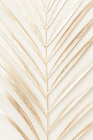 Golden Palm Leaf
