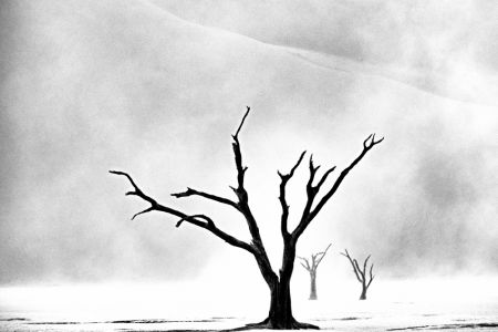  Namibia: The Spirit of Wilderness