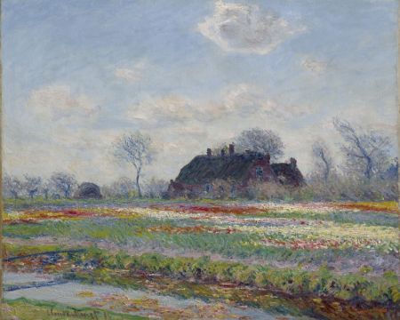 Claude Monet's Tulip Fields At Sassenheim, (1886)