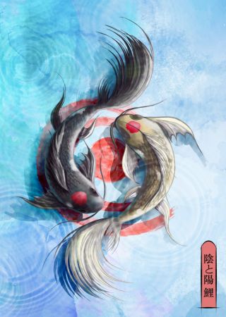 Light Koi
