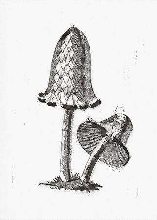 Vintage Inky Cap Edible Mushroom BW Bright