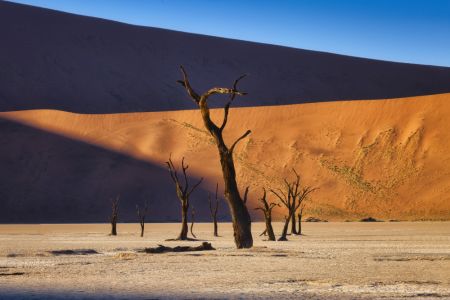 Deadvlei