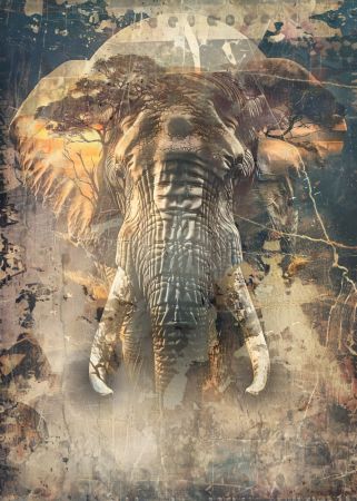 Elephant Africa Wild Animal Vintage Illustration Art 04