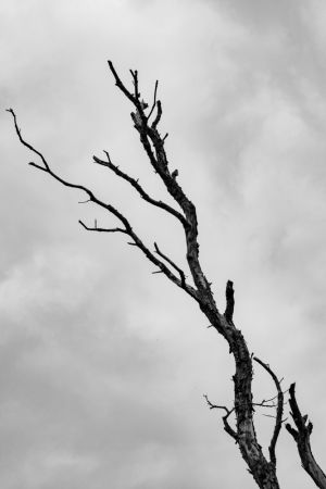  I'm not leaving without a fight