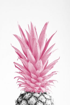 Pinapple Pink 03