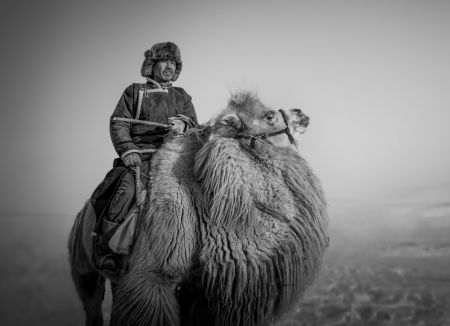 Farmer and His Camel
