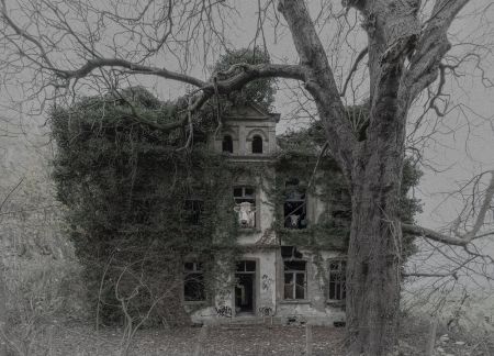 The Last Inhabitants