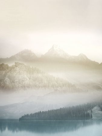 Vanilla Landscape III