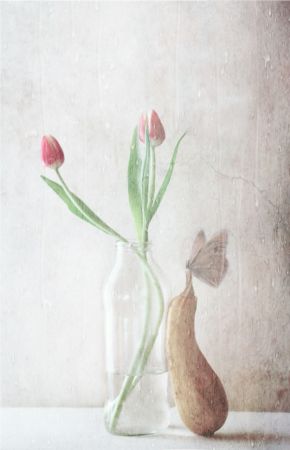 The pitter-patter of the rain