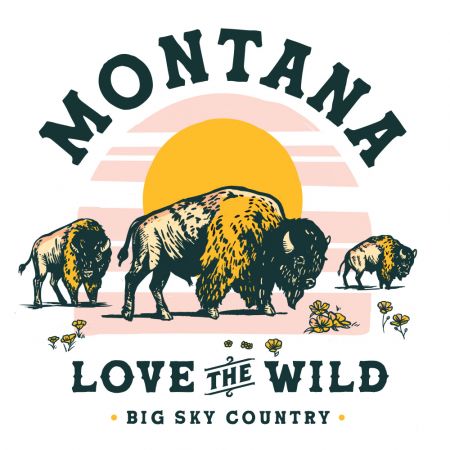 Montana Buffalo Art: Love The Wild