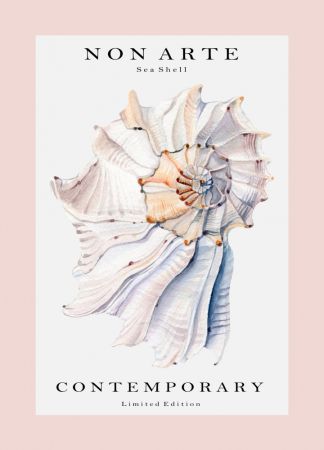 Non Arte Sea Shell no.1