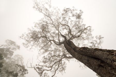 Between Heaven and Earth