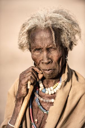 Matriarch of the Arbore