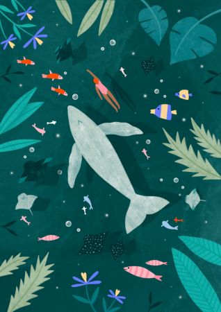 Swimming with a Whale