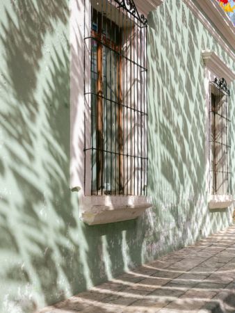 Greens of Oaxaca | Mexico travel photography