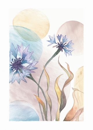 Watercolor Cornflowers