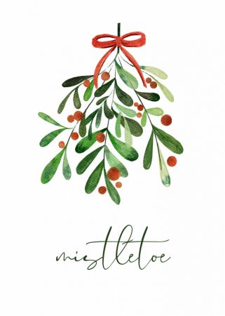 Christmas Mistletoe
