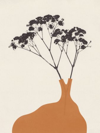 Blooms of Gypsophila #2