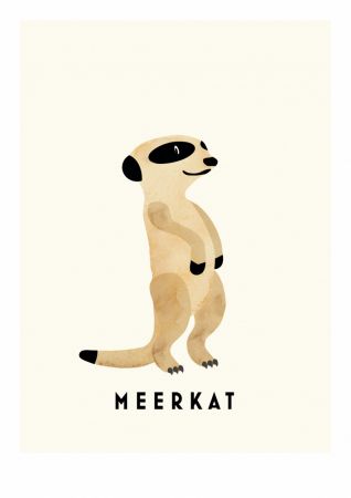 Meerkat